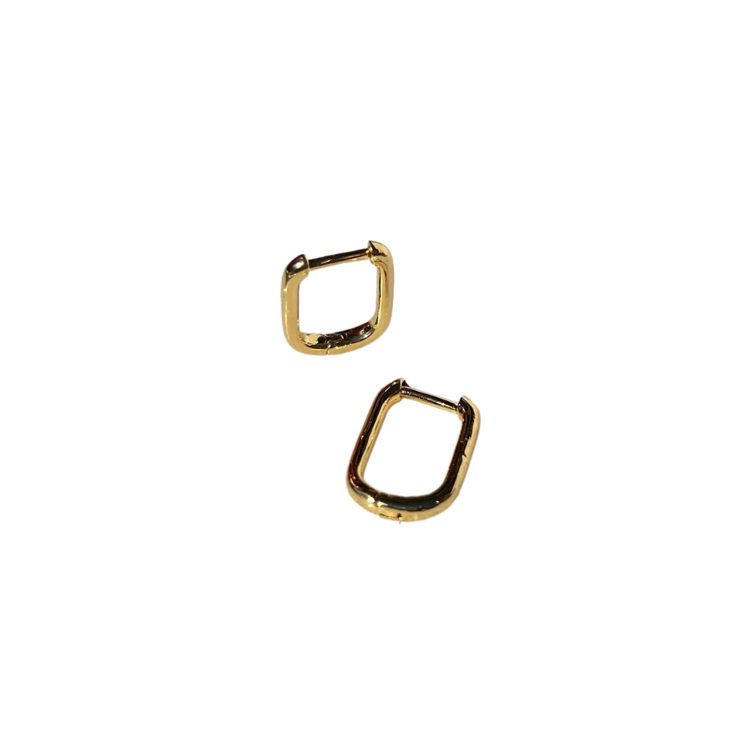 Small Oval Hoops