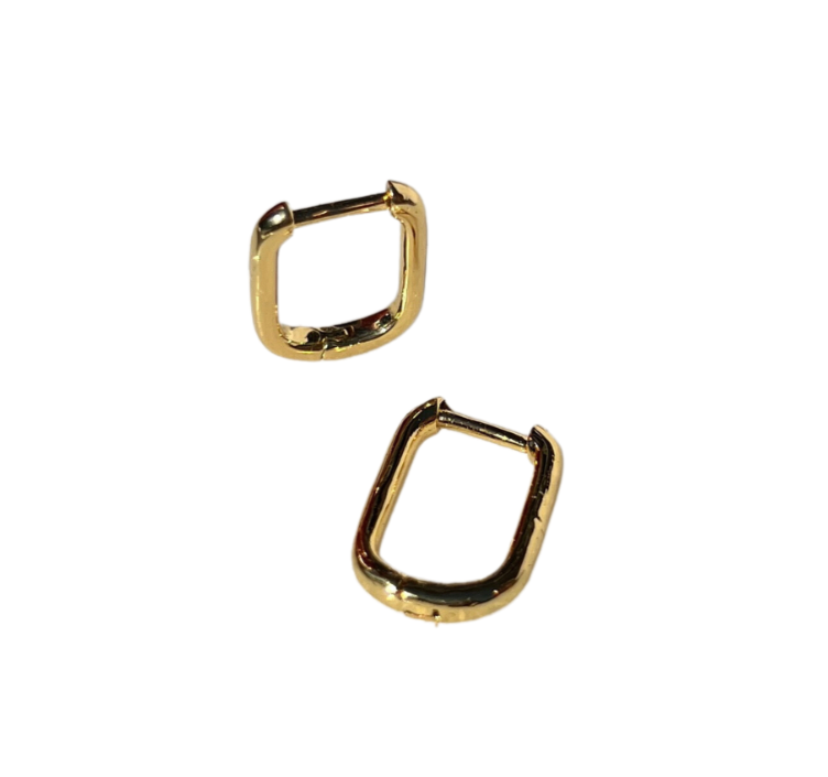 Small Oval Hoops