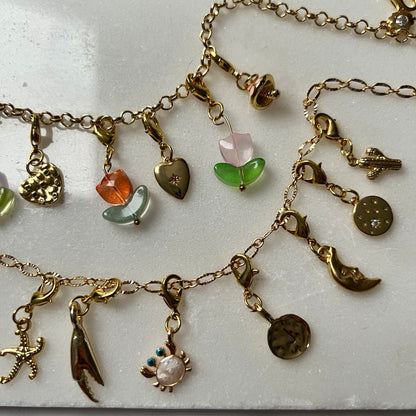 Clip on Charms - Oh so charming