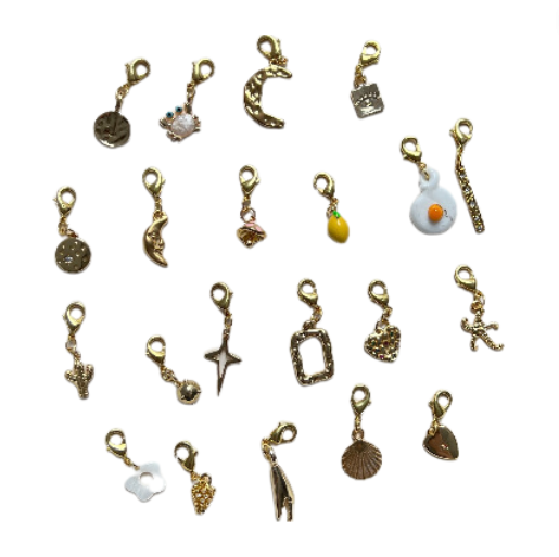 Clip on Charms - Oh so charming